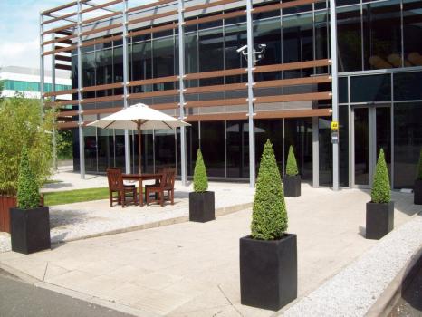 Wedding Venues In Italy - Beales Hatfield