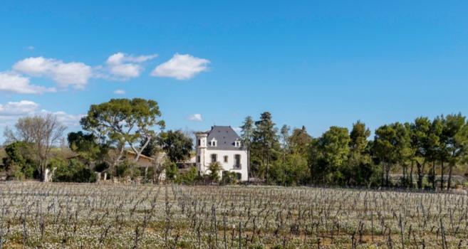 Wedding Venues in France  - Domaine Tarbouriech