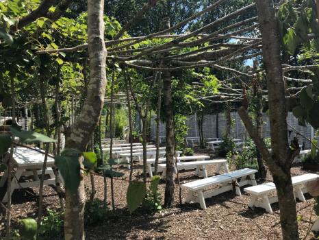  - Harewood Forest Weddings