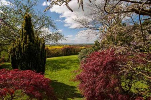  - The Grange Court Hotel