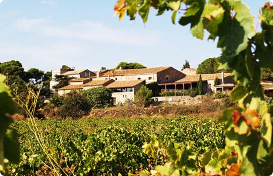 Wedding Venues in France  - Chateau le Bouis