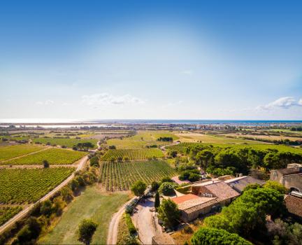 Wedding Venues in France  - Chateau le Bouis