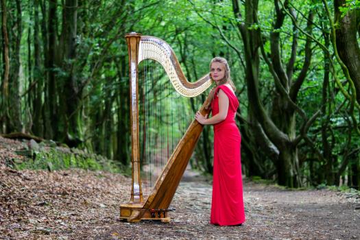 - Lucy Nolan-Harpist
