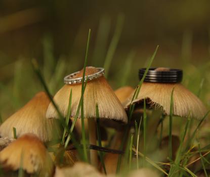 - Nick Allsop Photography